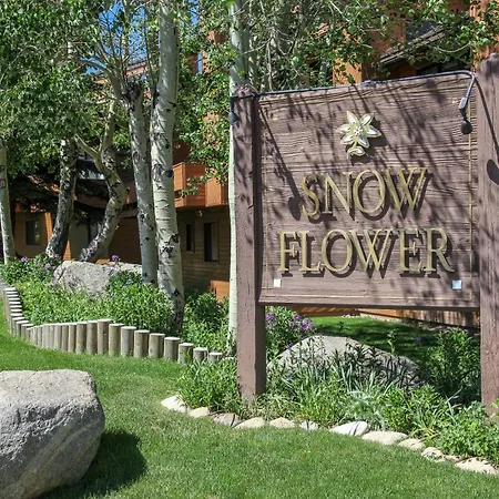 Snowflower #74 Condo
